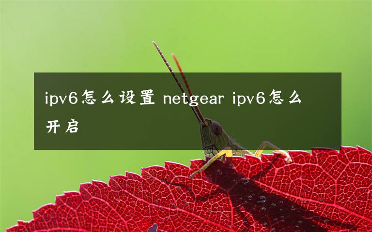 ipv6怎么设置 netgear ipv6怎么开启文章配图