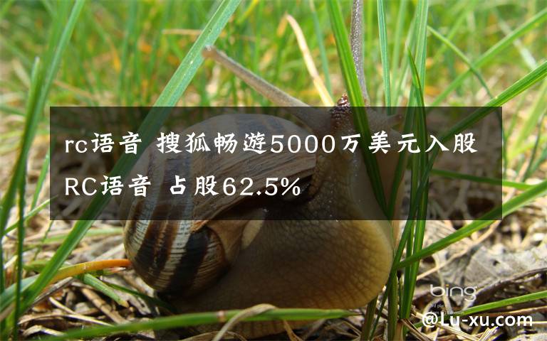 rc语音 搜狐畅游5000万美元入股RC语音 占股62.5%