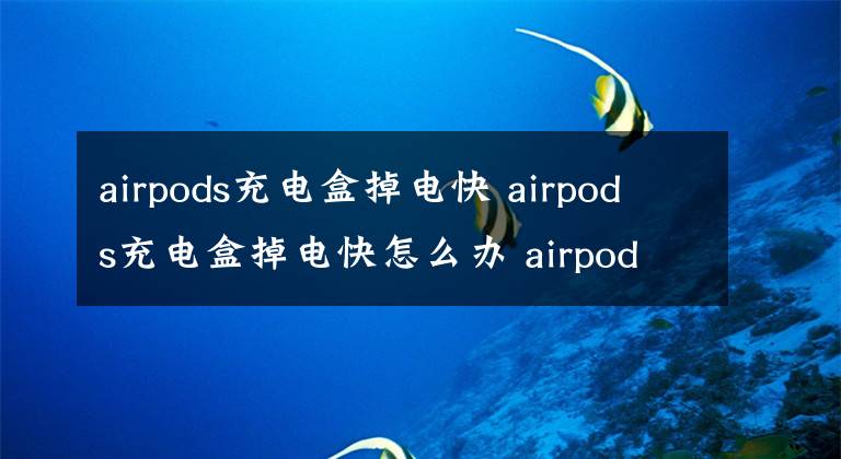 airpods充电盒掉电快 airpods充电盒掉电快怎么办 airpods充电盒掉电很快