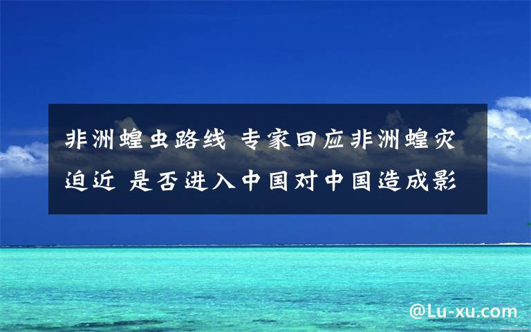 非洲蝗虫路线 专家回应非洲蝗灾迫近 是否进入中国对中国造成影响？