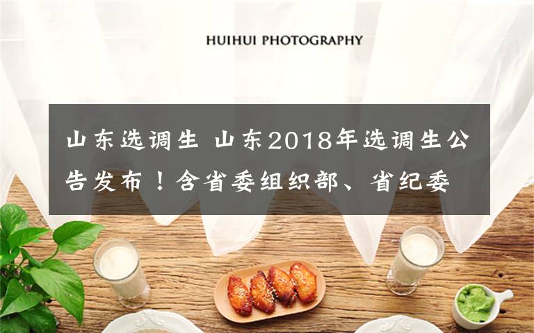 山东选调生 山东2018年选调生公告发布！含省委组织部、省纪委等热门岗位！