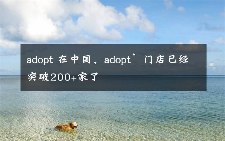 adopt 在中国，adopt’门店已经突破200+家了