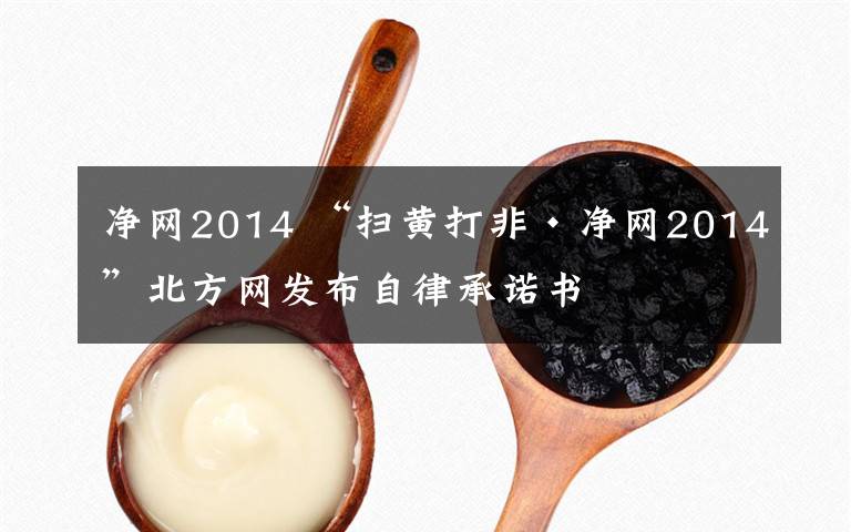 净网2014 “扫黄打非·净网2014”北方网发布自律承诺书