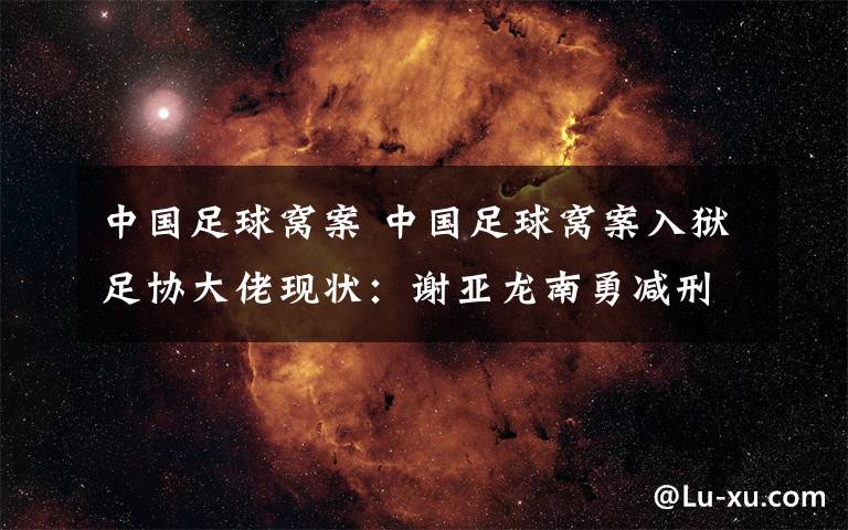 中国足球窝案 中国足球窝案入狱足协大佬现状：谢亚龙南勇减刑 陆俊出狱