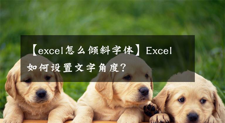 【excel怎么倾斜字体】Excel如何设置文字角度？