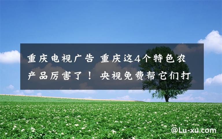 重庆电视广告 重庆这4个特色农产品厉害了！ 央视免费帮它们打广告