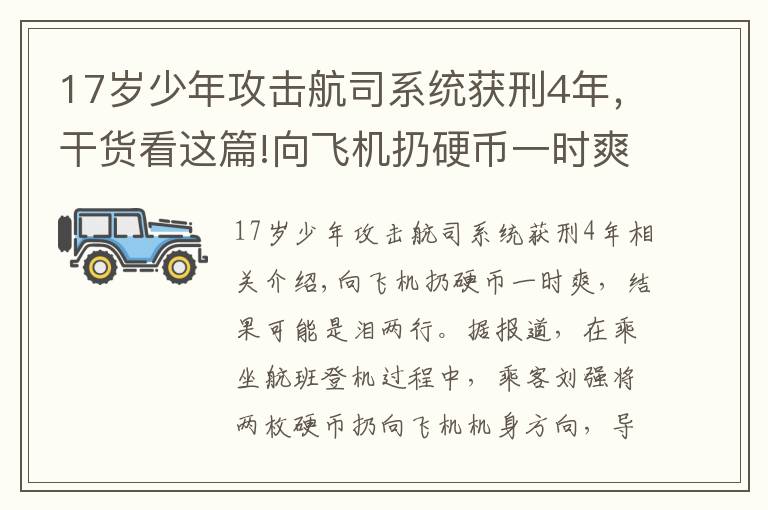 17岁少年攻击航司系统获刑4年，干货看这篇!向飞机扔硬币一时爽，结果泪两行