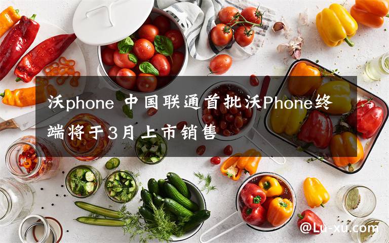 沃phone 中国联通首批沃Phone终端将于3月上市销售
