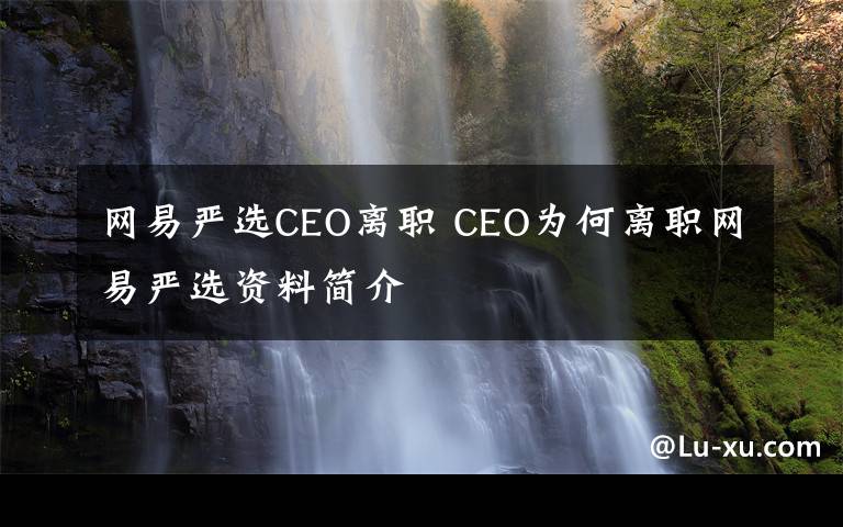 网易严选CEO离职 CEO为何离职网易严选资料简介