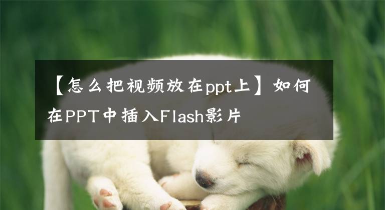 【怎么把视频放在ppt上】如何在PPT中插入Flash影片