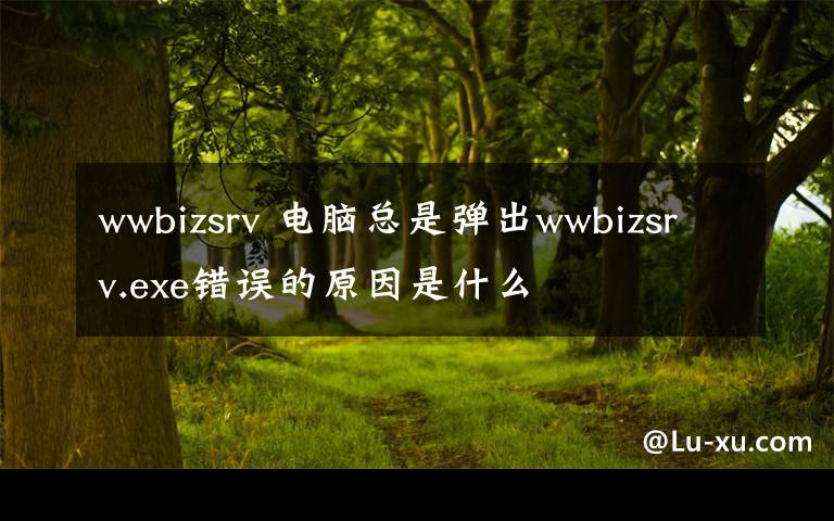 wwbizsrv 电脑总是弹出wwbizsrv.exe错误的原因是什么