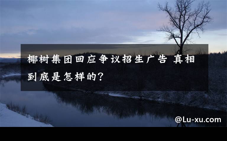 椰树集团回应争议招生广告 真相到底是怎样的？