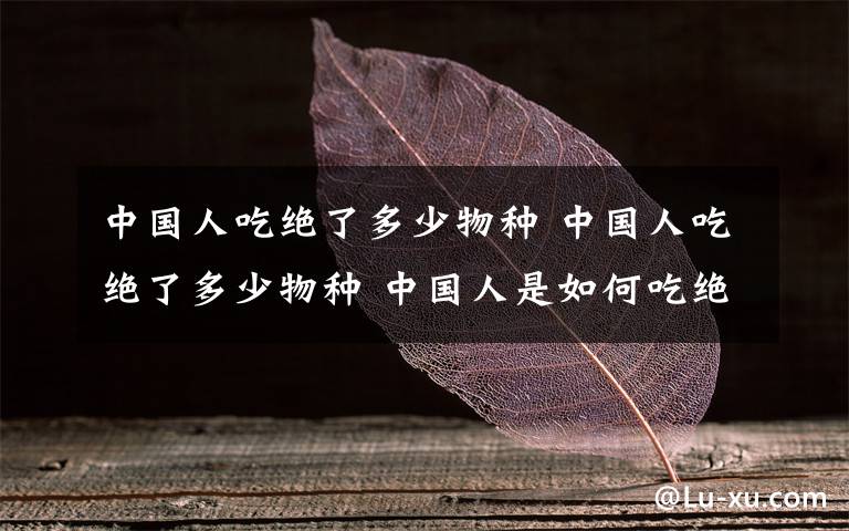 中国人吃绝了多少物种 中国人吃绝了多少物种 中国人是如何吃绝这些动物的