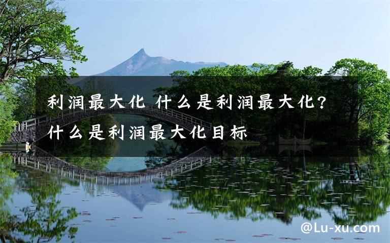 利润最大化 什么是利润最大化?什么是利润最大化目标文章配图