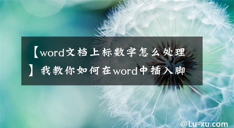 【word文档上标数字怎么处理】我教你如何在word中插入脚注