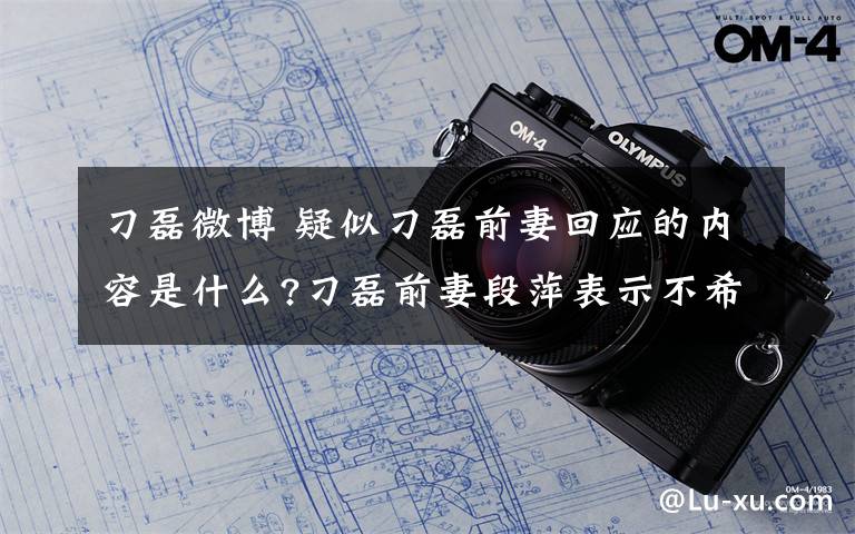 刁磊微博 疑似刁磊前妻回应的内容是什么?刁磊前妻段萍表示不希望被打扰