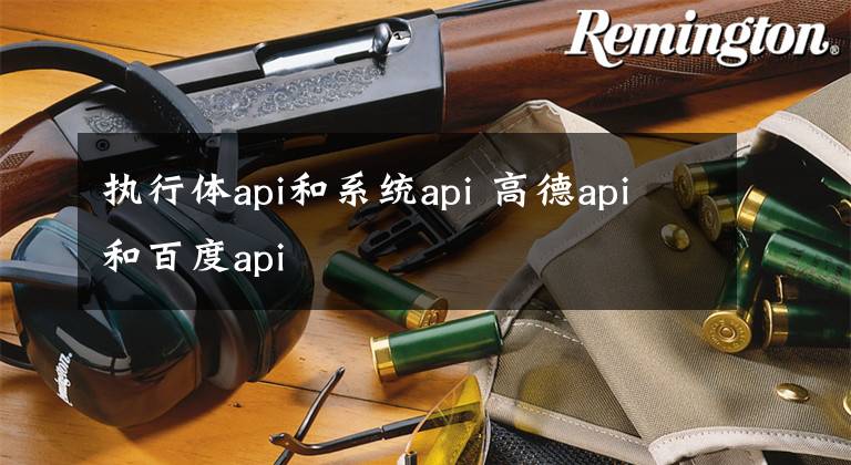 执行体api和系统api 高德api和百度api