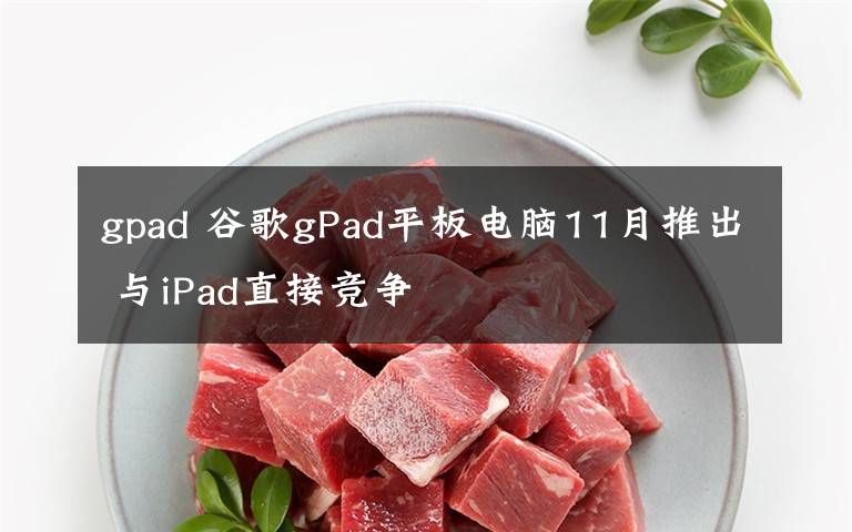 gpad 谷歌gPad平板电脑11月推出 与iPad直接竞争