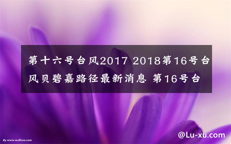 第十六号台风2017 2018第16号台风贝碧嘉路径最新消息 第16号台风贝碧嘉在哪登陆