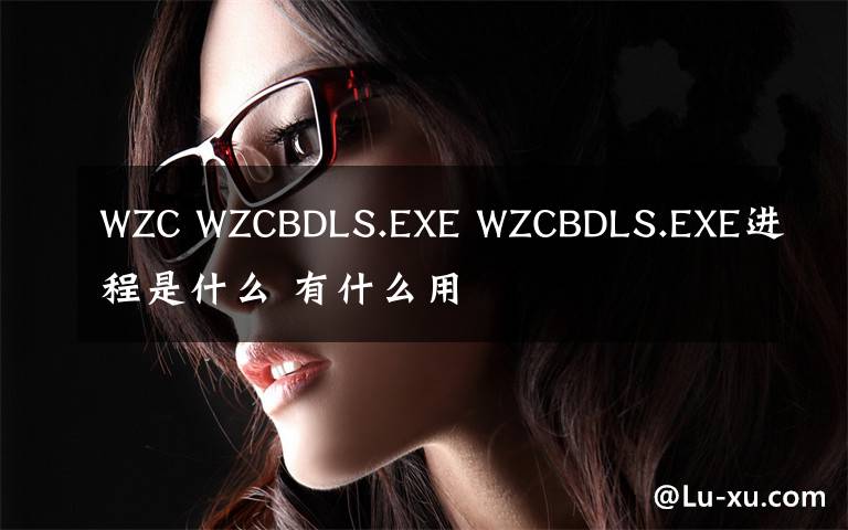WZC WZCBDLS.EXE WZCBDLS.EXE进程是什么 有什么用