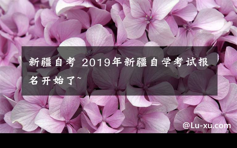 新疆自考 2019年新疆自学考试报名开始了~