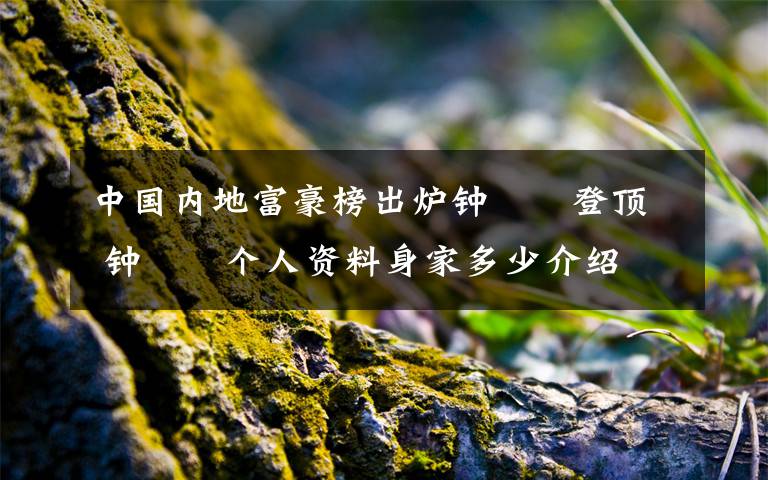 中国内地富豪榜出炉钟睒睒登顶 钟睒睒个人资料身家多少介绍文章配图