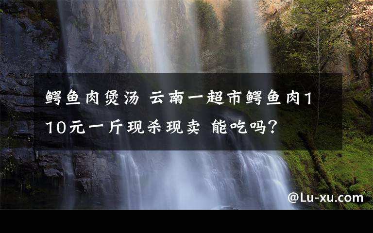 鳄鱼肉煲汤 云南一超市鳄鱼肉110元一斤现杀现卖 能吃吗？