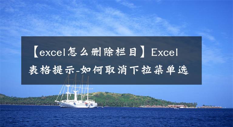 【excel怎么删除栏目】Excel表格提示-如何取消下拉菜单选项文章配图