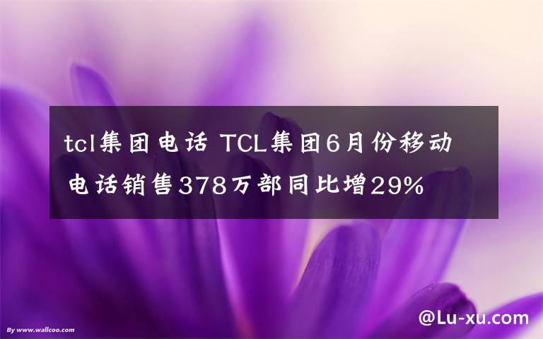 tcl集团电话 TCL集团6月份移动电话销售378万部同比增29%
