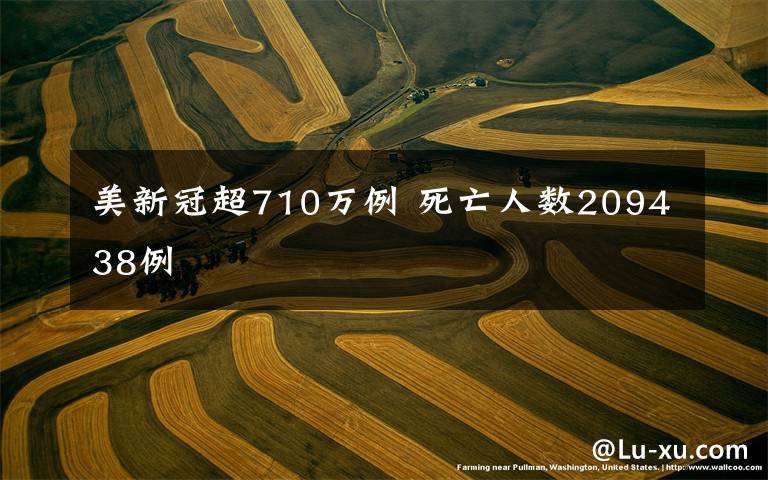 美新冠超710万例 死亡人数209438例