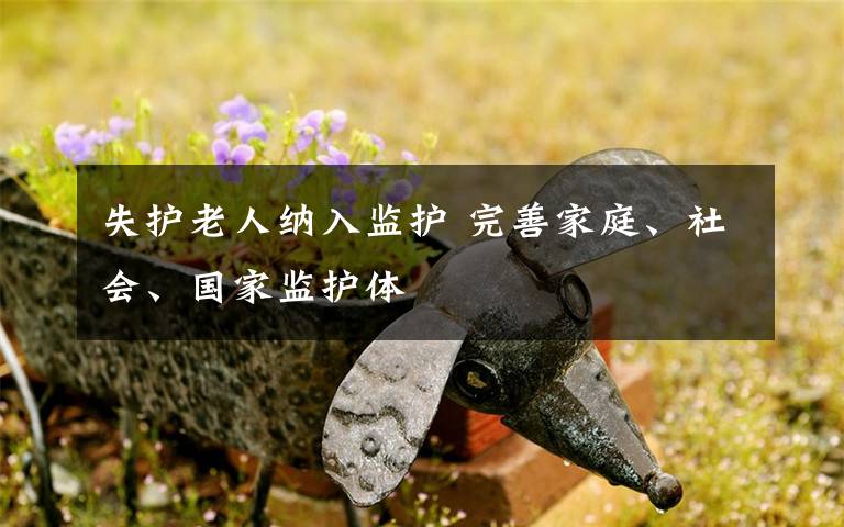 失护老人纳入监护 完善家庭、社会、国家监护体文章配图