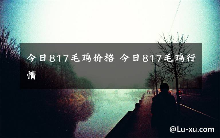 今日817毛鸡价格 今日817毛鸡行情