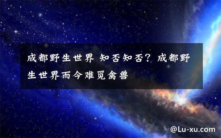 成都野生世界 知否知否？成都野生世界而今难觅禽兽