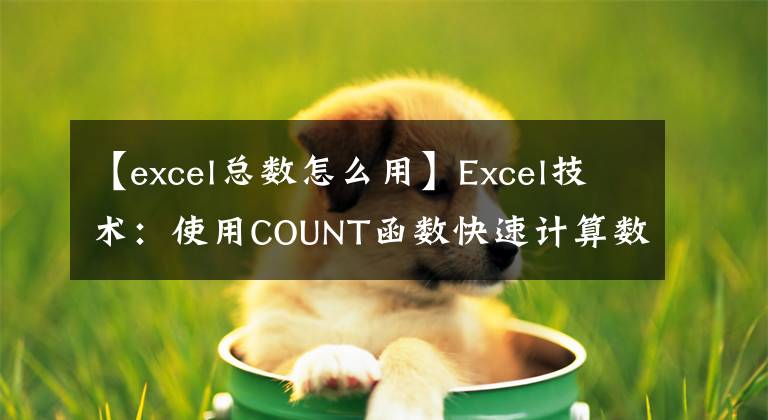 【excel总数怎么用】Excel技术：使用COUNT函数快速计算数字数