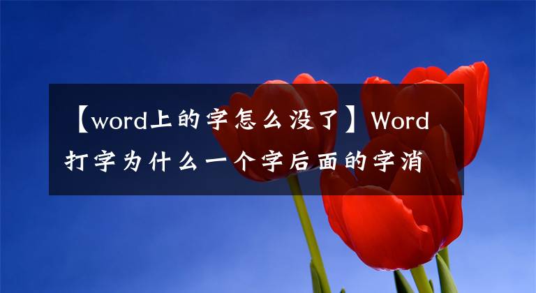 【word上的字怎么没了】Word打字为什么一个字后面的字消失了？