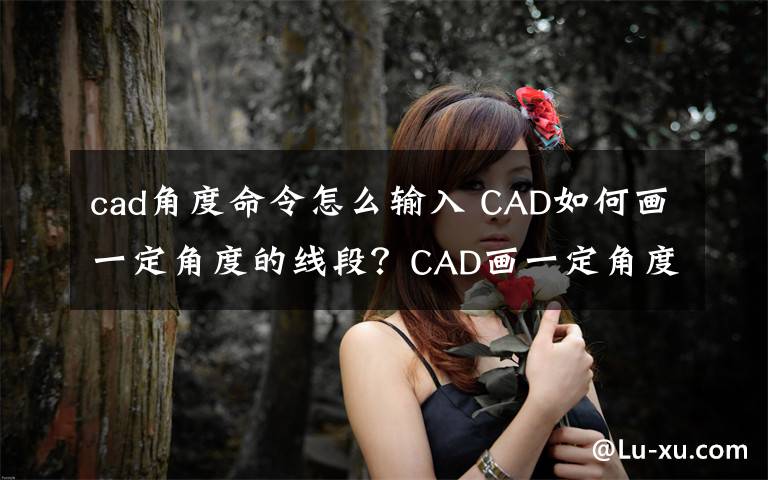 cad角度命令怎么输入 CAD如何画一定角度的线段？CAD画一定角度的线段方法