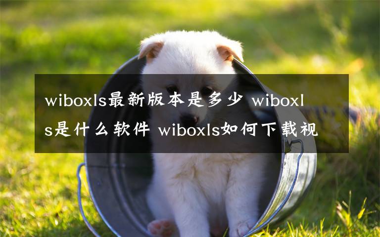 wiboxls最新版本是多少 wiboxls是什么软件 wiboxls如何下载视频