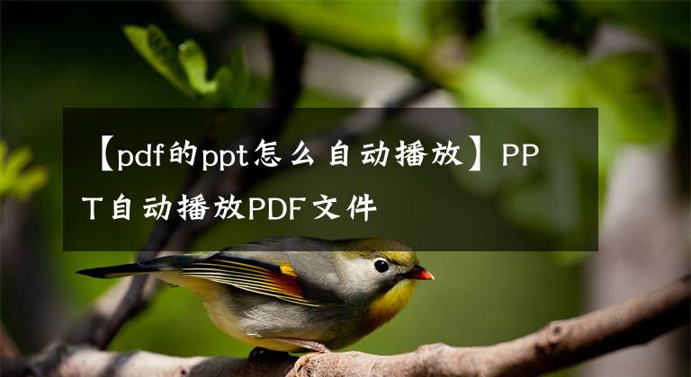 【pdf的ppt怎么自动播放】PPT自动播放PDF文件