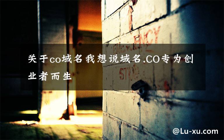 关于co域名我想说域名.CO专为创业者而生