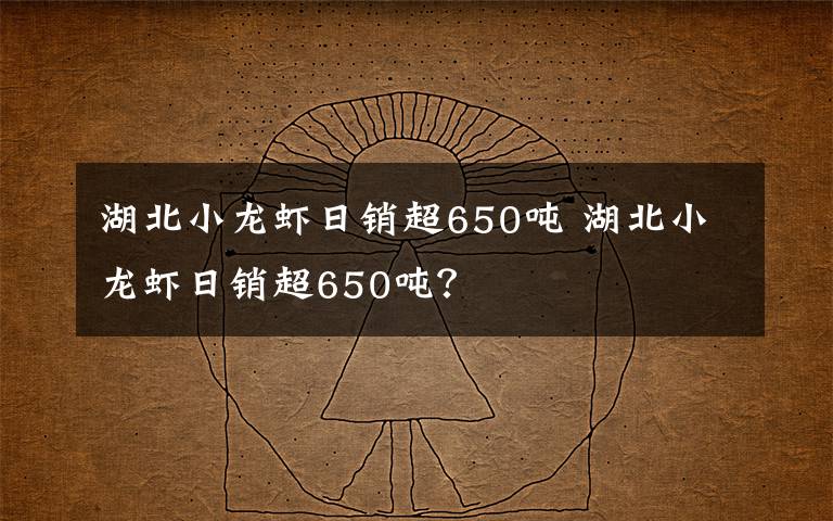 湖北小龙虾日销超650吨 湖北小龙虾日销超650吨？