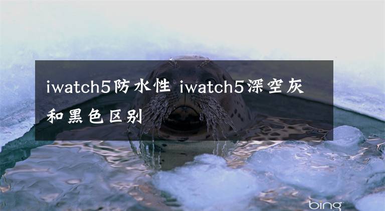 iwatch5防水性 iwatch5深空灰和黑色区别