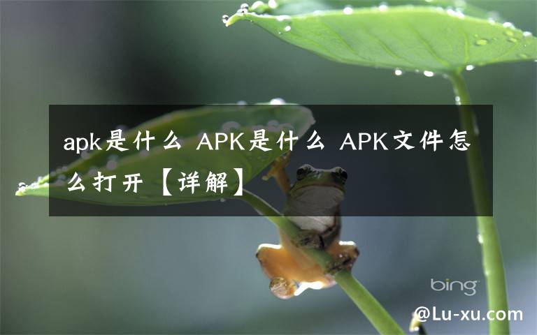 apk是什么 APK是什么 APK文件怎么打开【详解】