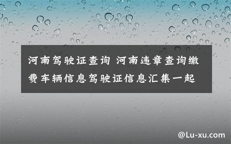 河南驾驶证查询 河南违章查询缴费车辆信息驾驶证信息汇集一起