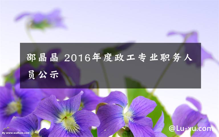 邵晶晶 2016年度政工专业职务人员公示