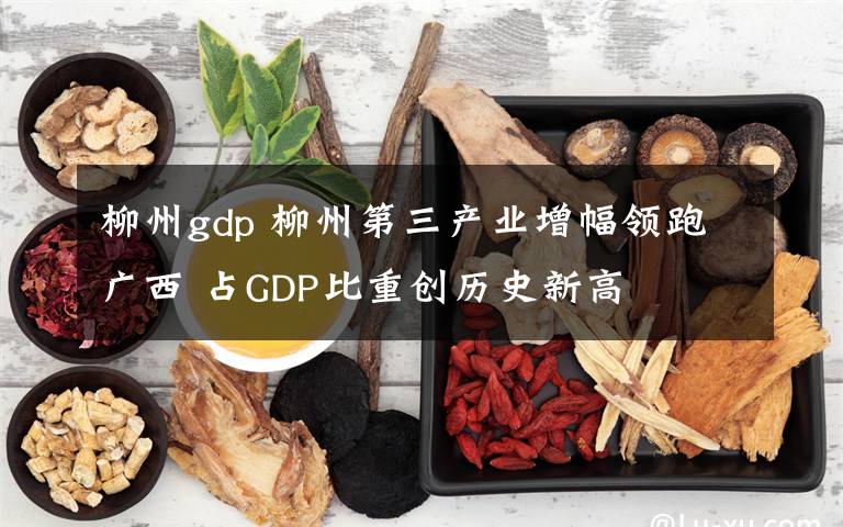 柳州gdp 柳州第三产业增幅领跑广西 占GDP比重创历史新高