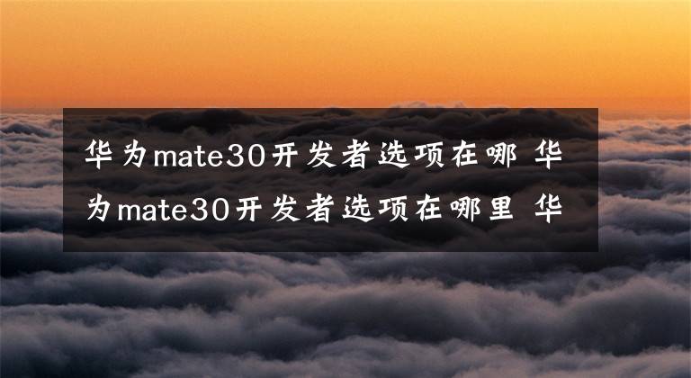 华为mate30开发者选项在哪 华为mate30开发者选项在哪里 华为mate30的开发者在哪里