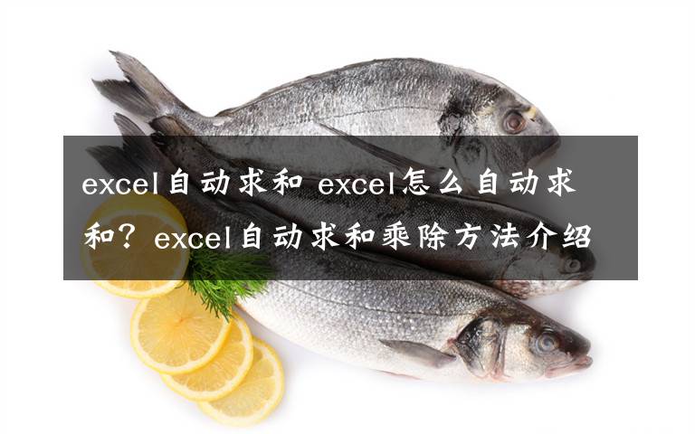 excel自动求和 excel怎么自动求和？excel自动求和乘除方法介绍