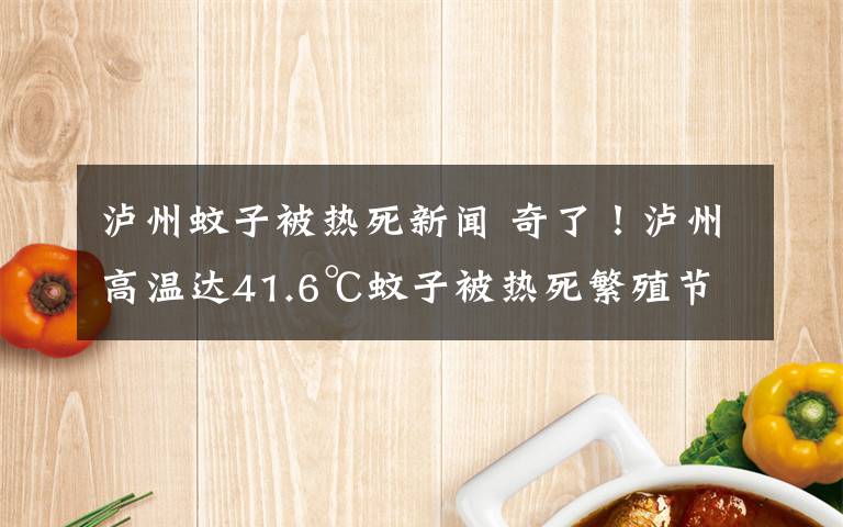 泸州蚊子被热死新闻 奇了！泸州高温达41.6℃蚊子被热死繁殖节奏都被打乱了