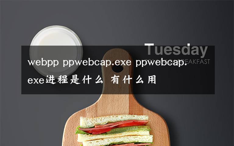 webpp ppwebcap.exe ppwebcap.exe进程是什么 有什么用