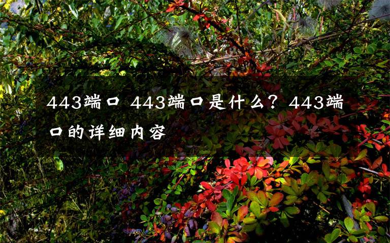 443端口 443端口是什么？443端口的详细内容